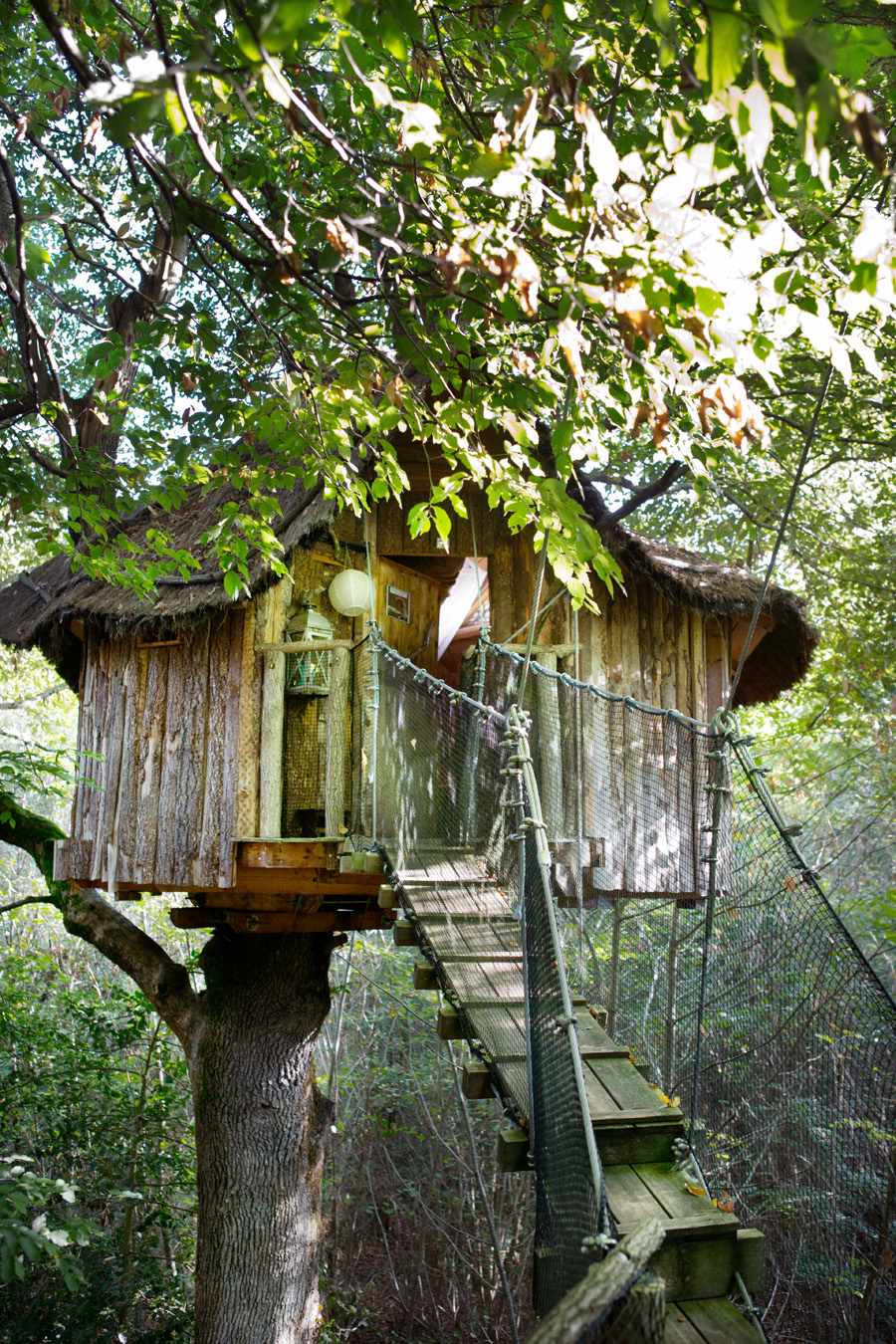 cabane_marcheroy06 Cabane perchée en bois, accessible par une passerelle, entourée de verdure luxuriante.