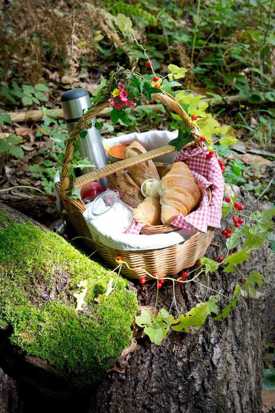 panier_petit_dejeuner Panier pique-nique sur une souche, entouré de verdure en Nouvelle-Aquitaine.