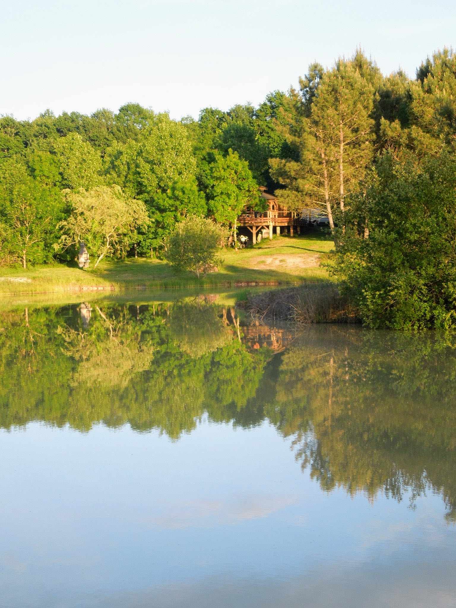 pb_03 Cabane perchée en Aquitaine, entourée de verdure et reflet sur leau paisible.