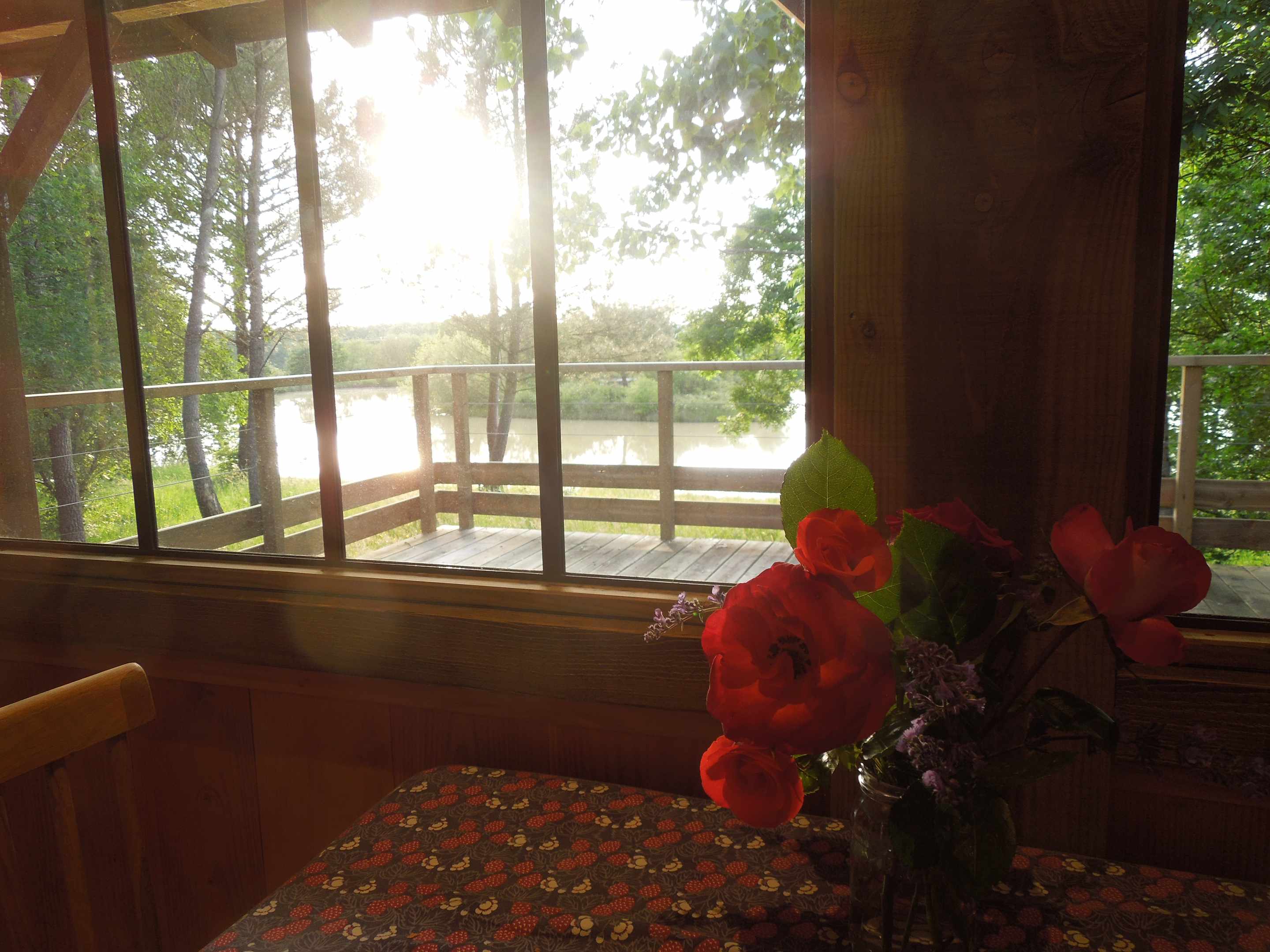 pb_05 Cabane sur pilotis en Aquitaine, vue sur le lac et fleurs sur la table.