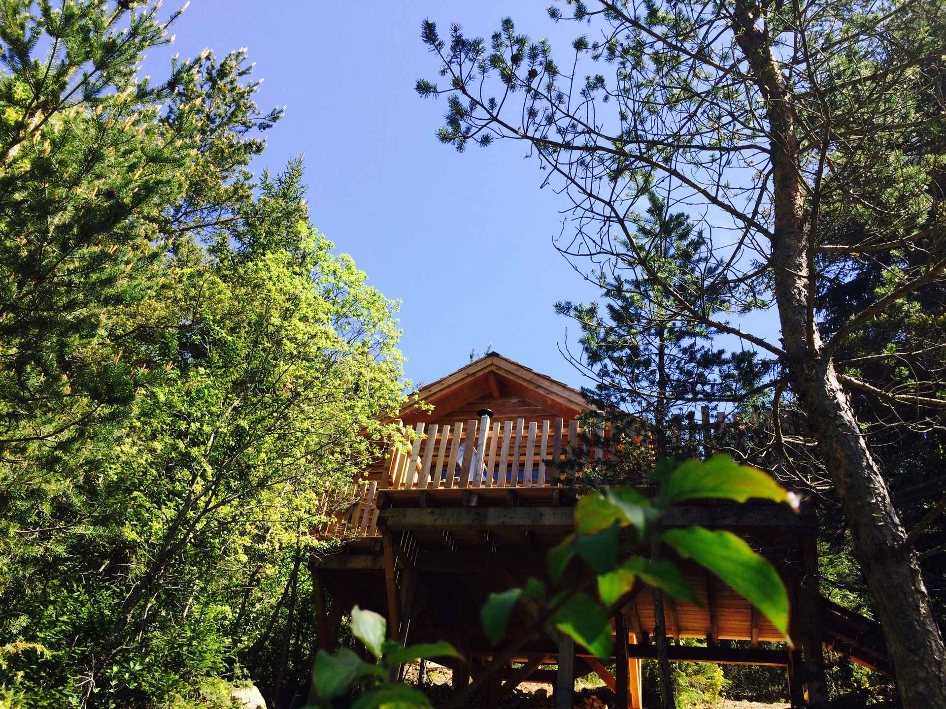 016441489d5d045fc1facb1cecc403d8a2c57269c7