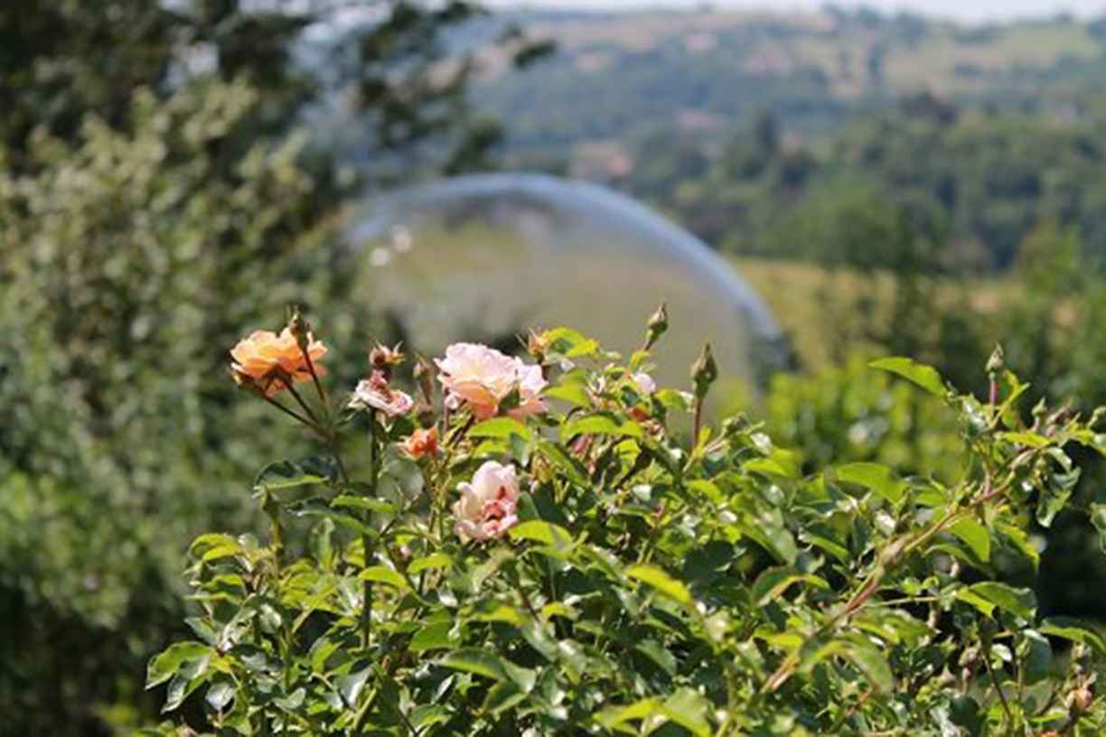 Bulle-1-1 Bulle transparente au milieu de la nature, entourée de fleurs colorées en Auvergne.