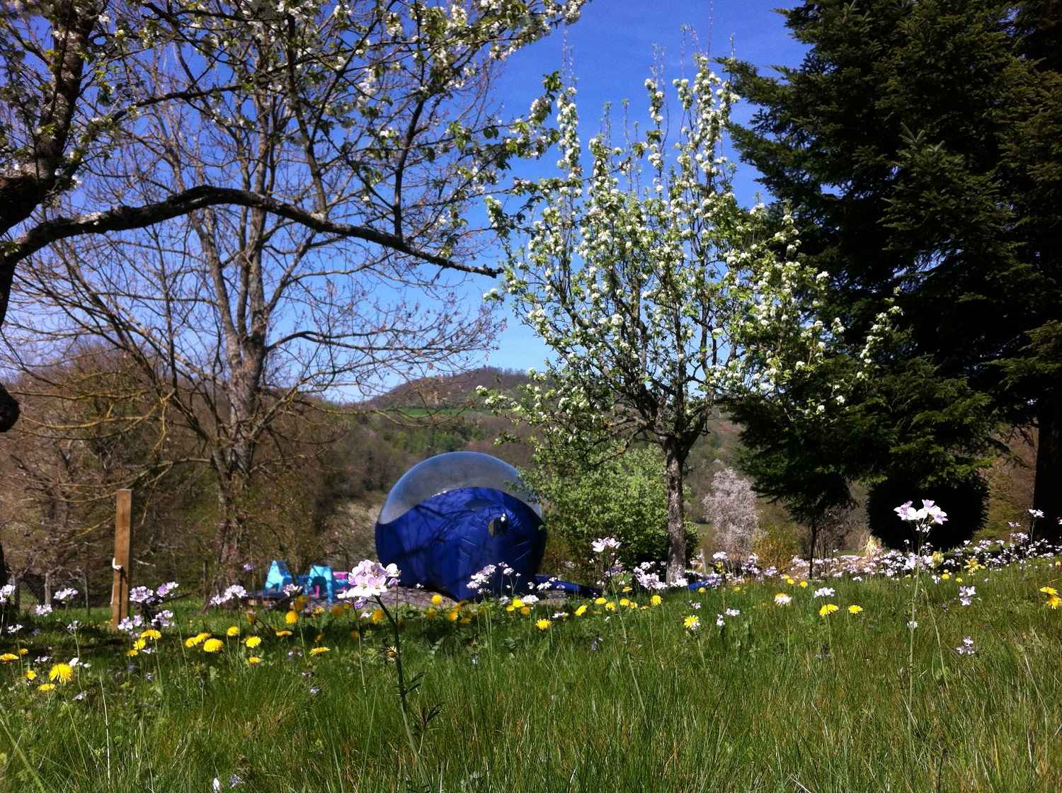 bulle fleur Hébergement insolite en bulle transparente, entouré de fleurs et arbres en Auvergne.