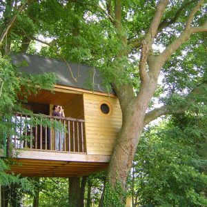 Cabane aux secrets pinteaux