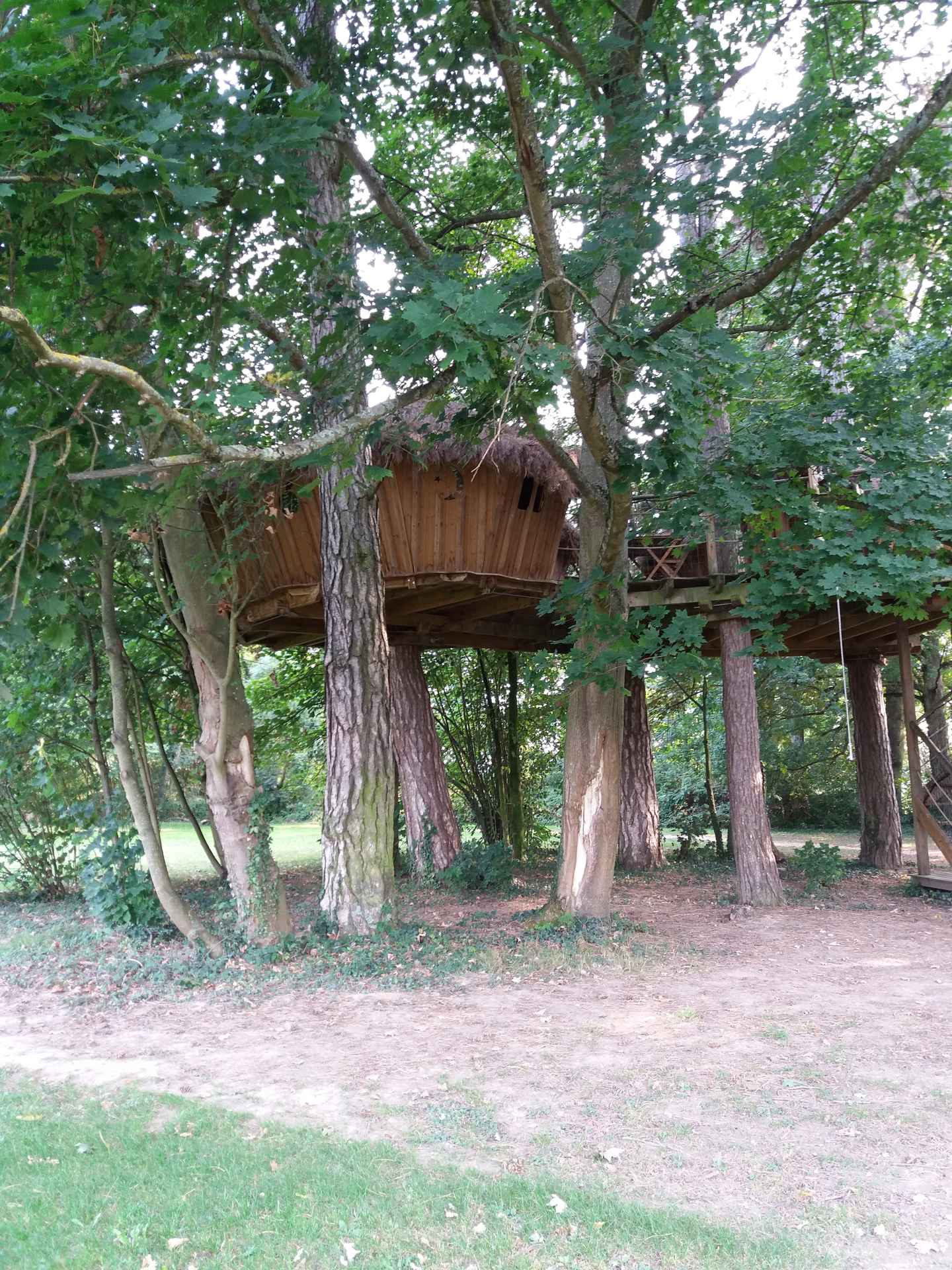 vire clesse Cabane perchée dans les arbres, entourée de verdure en Bourgogne. Un séjour unique !