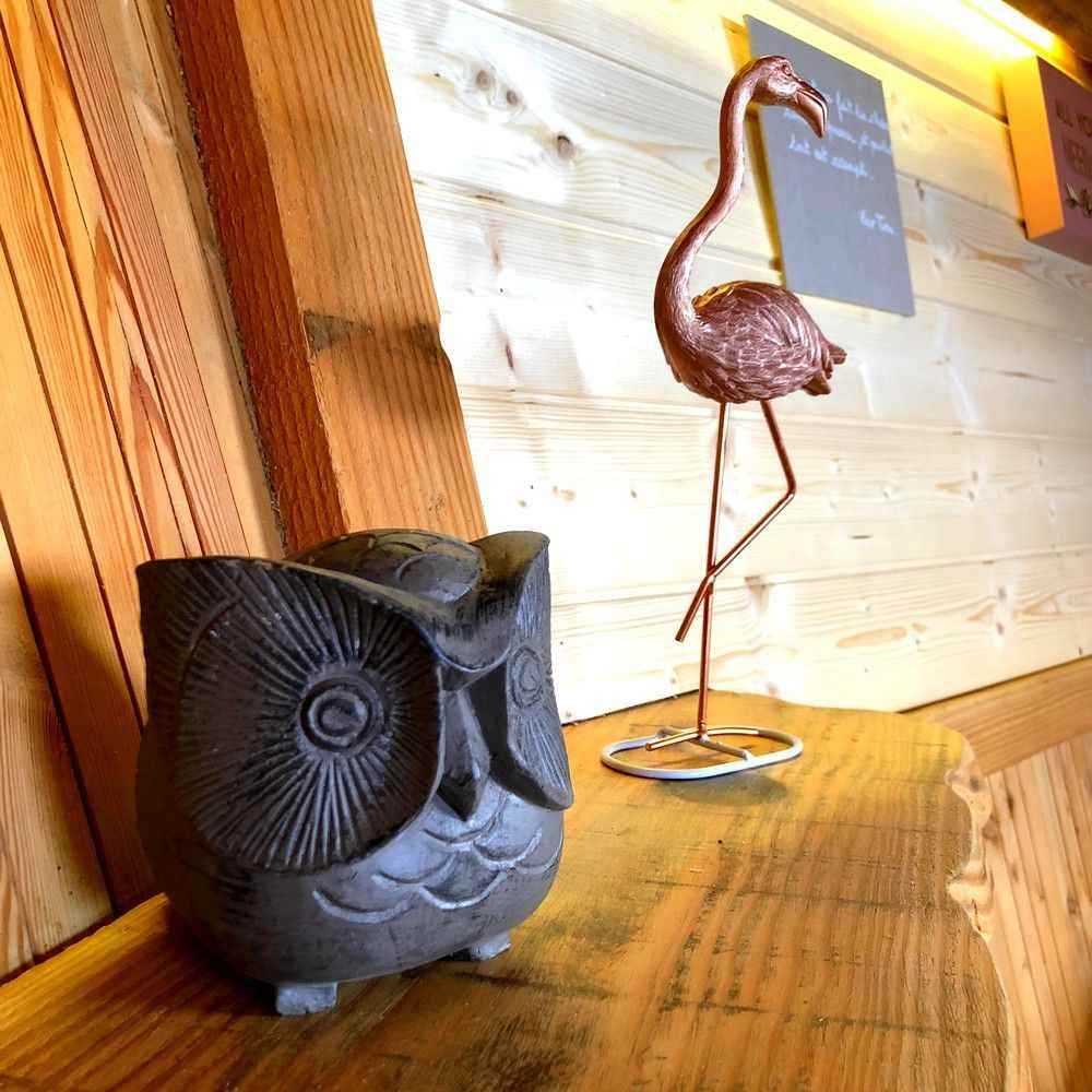 Photo-01-04-2018-12-29-36-compressor Hébergement insolite en Bourgogne avec une décoration originale : hibou et flamant rose.