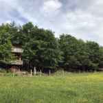 LES CABANES AU BORD DU MONDE