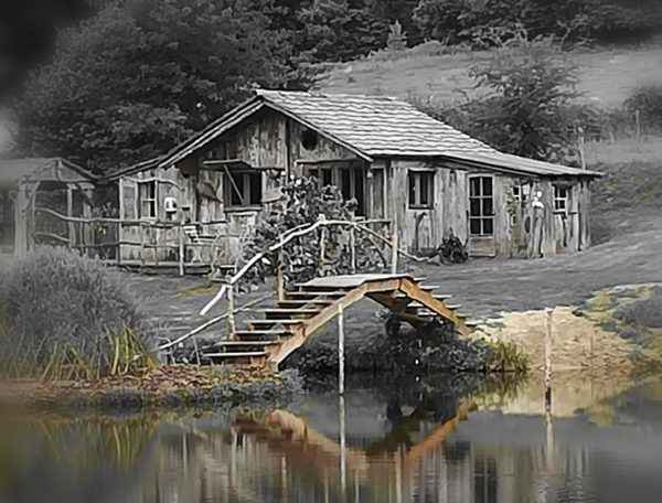 Cabane en bois au bord dun lac, entourée de verdure et dun pont en bois.