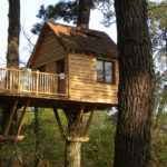 Cabane dans les arbres en bois, perchée entre les branches, offrant une vue sur la forêt.