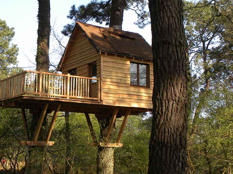 Cabane dans les arbres en bois, perchée entre les branches, offrant une vue sur la forêt.