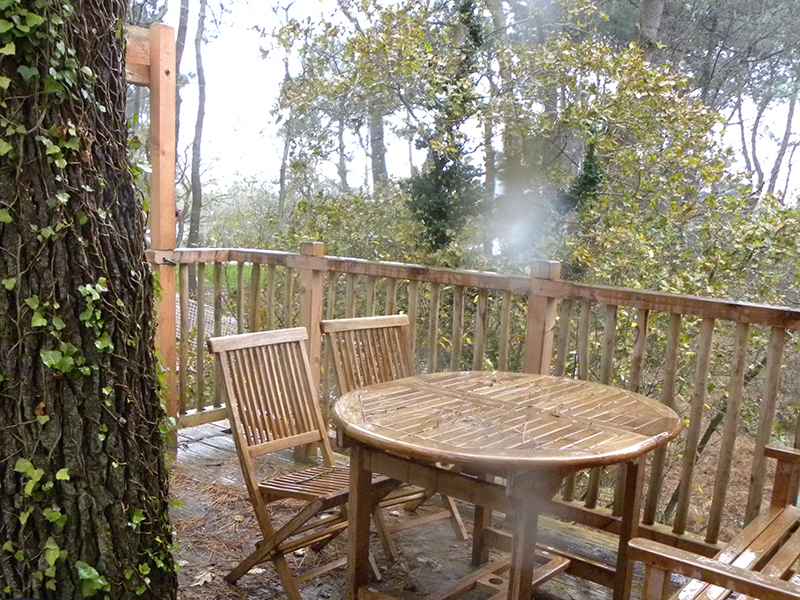 Cabane dans les arbres avec terrasse en bois, entourée de verdure.