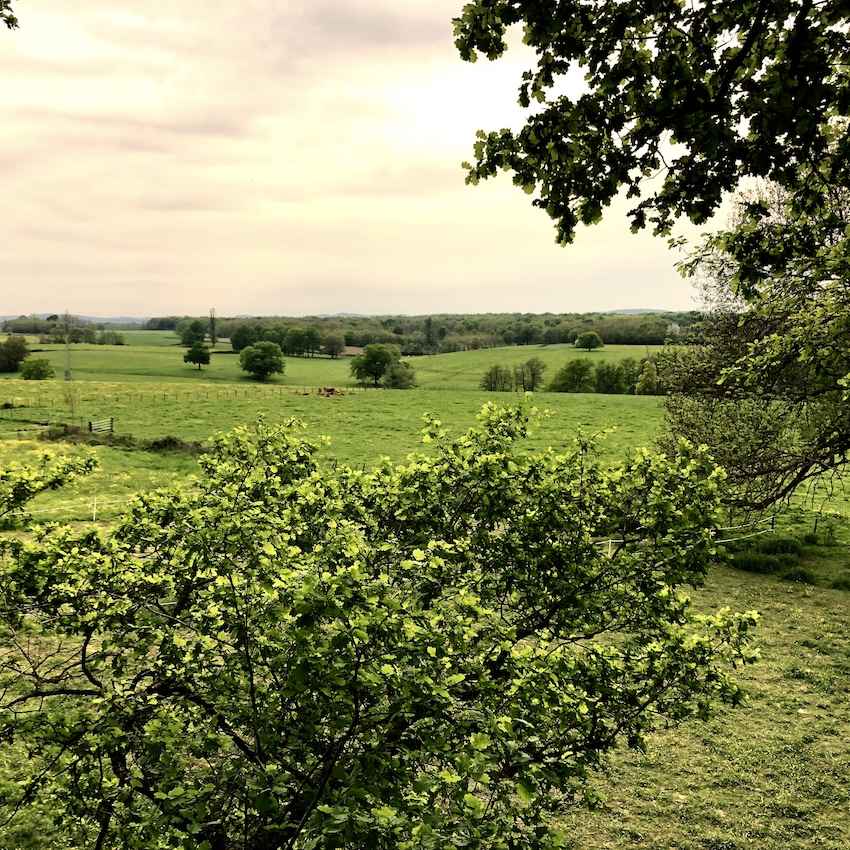 IMG_1874 Hébergement insolite en Bourgogne, avec vue panoramique sur des champs verdoyants.