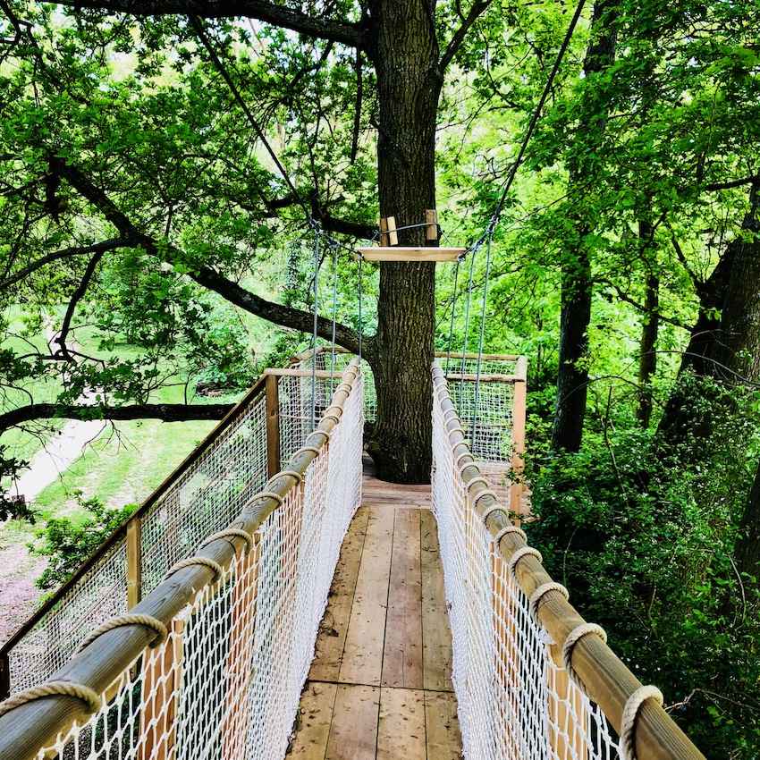 IMG_2566 Cabane dans les arbres en Bourgogne, avec une passerelle suspendue entourée de verdure.