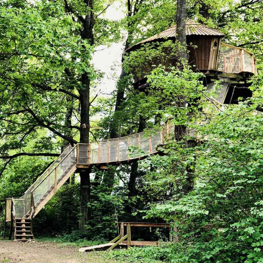 IMG_4390 Cabane dans les arbres en Bourgogne, perchée au milieu dune verdure luxuriante.