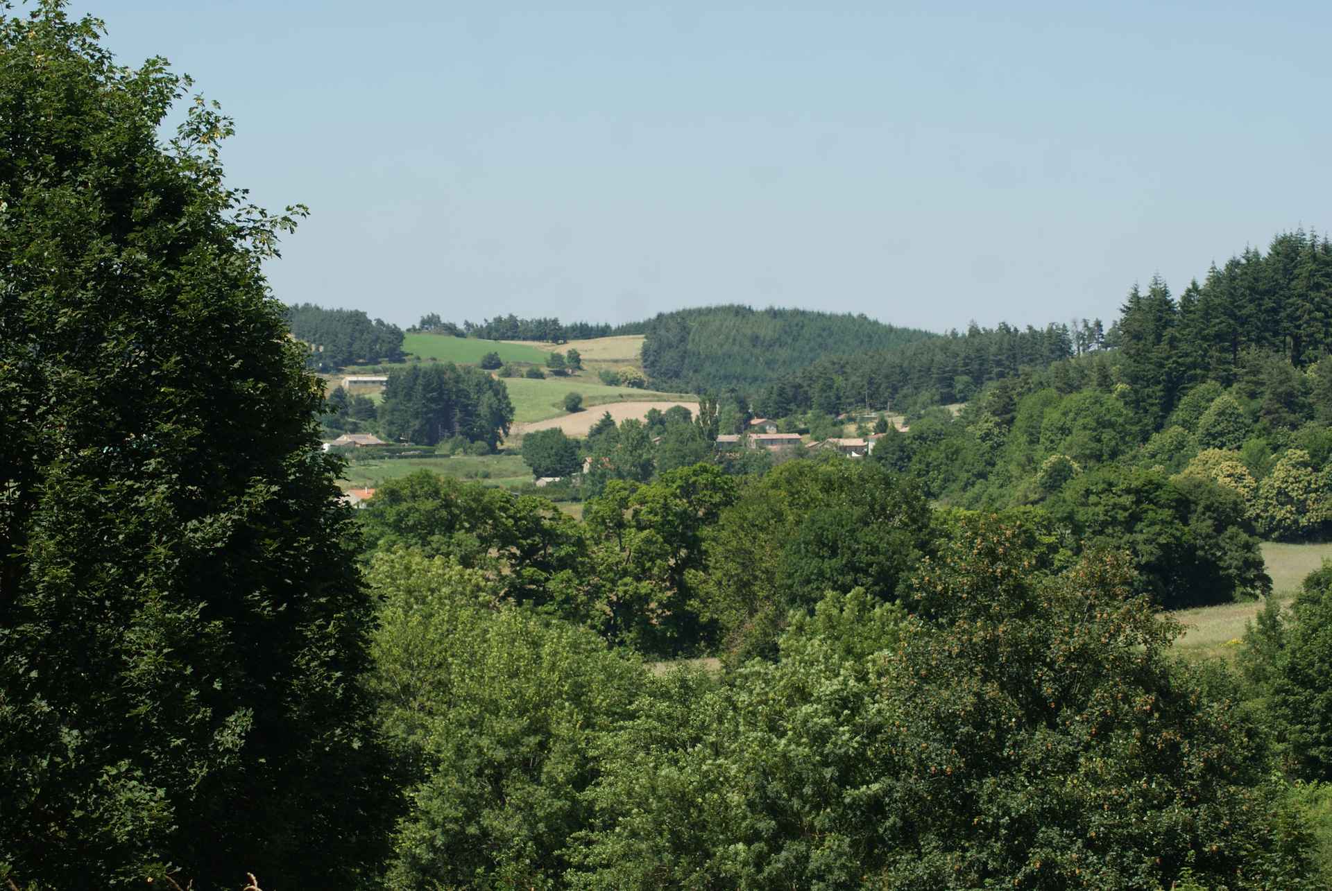 DSC04472 Hébergement insolite en Auvergne-Rhône-Alpes, avec vue panoramique sur la verdure environnante.