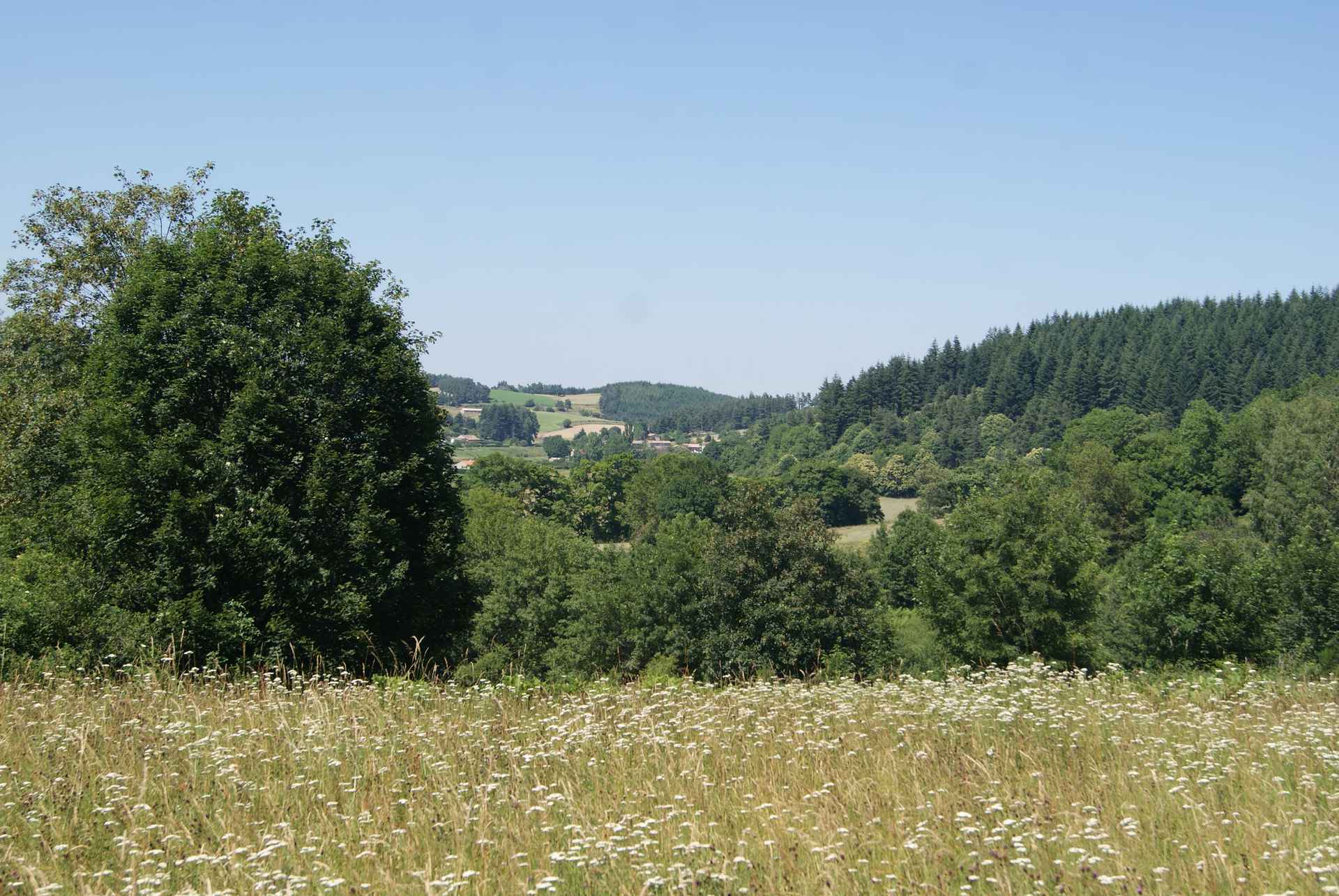 DSC04480 Hébergement insolite en pleine nature, entouré de verdure et de champs fleuris.