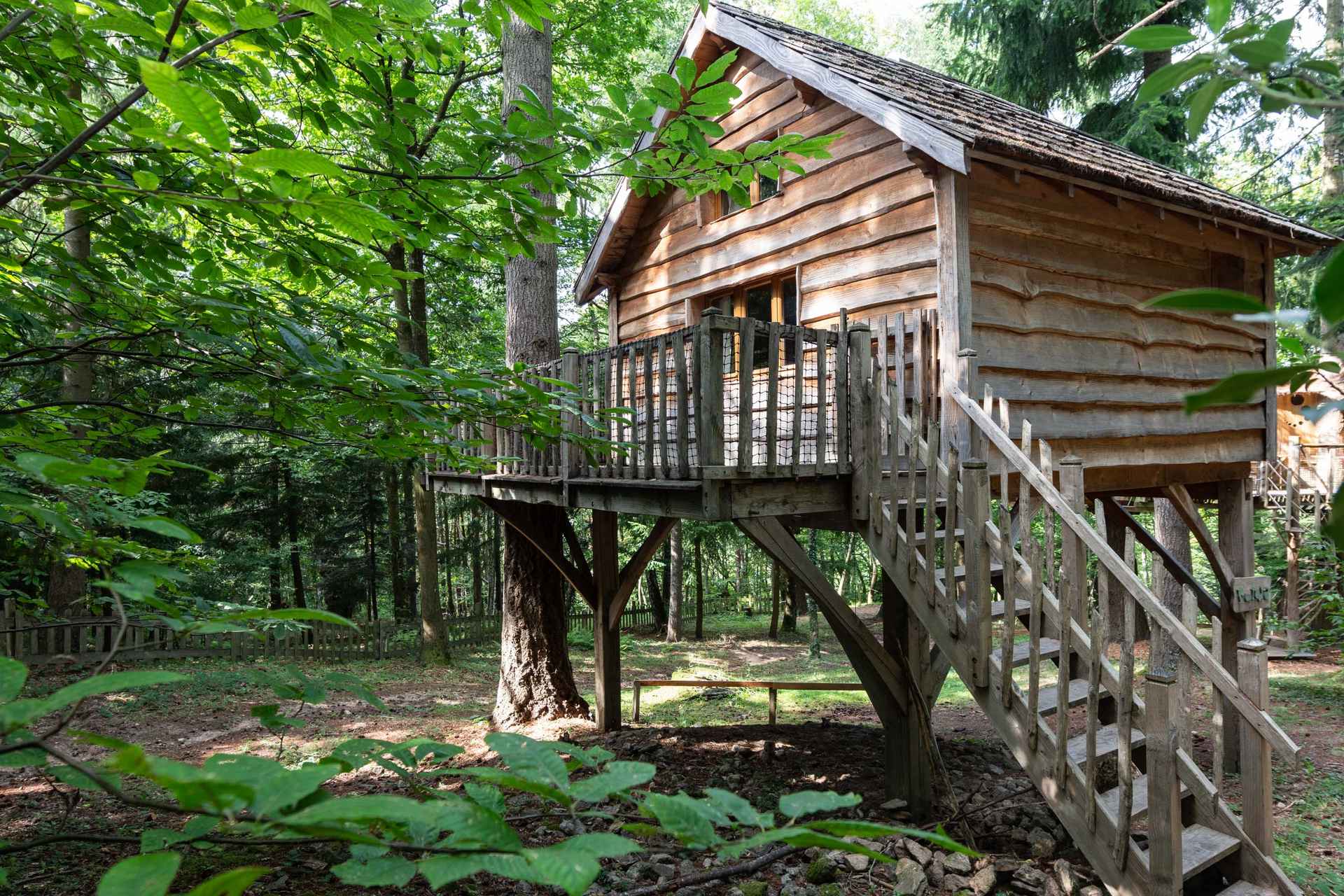 version-internet-118 panda ours Cabane perchée en bois, entourée darbres verdoyants en Auvergne-Rhône-Alpes.