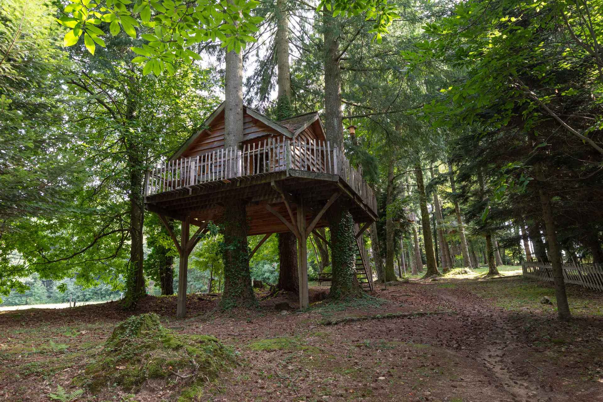 version-internet-119 panda ours Cabane perchée dans les arbres, entourée de verdure en Auvergne-Rhône-Alpes.