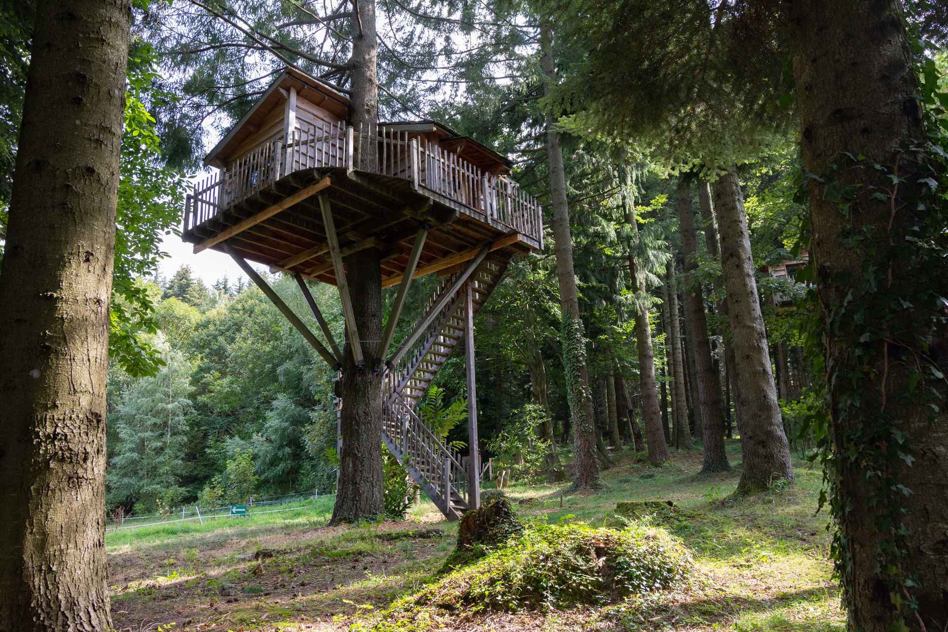 version-internet-121 marmotte herisson Cabane perchée dans les arbres, entourée de verdure en Auvergne-Rhône-Alpes.