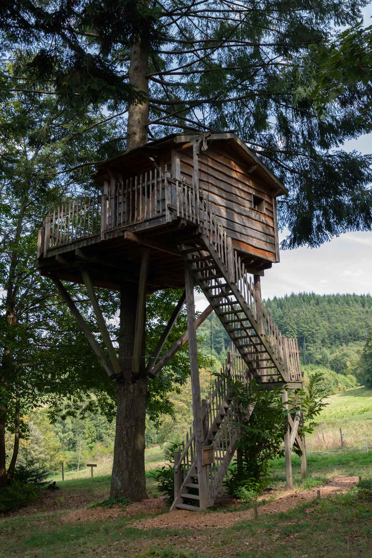 version-internet-123 marmotte herisson Cabane perchée dans un arbre, offrant une vue imprenable sur la nature environnante.