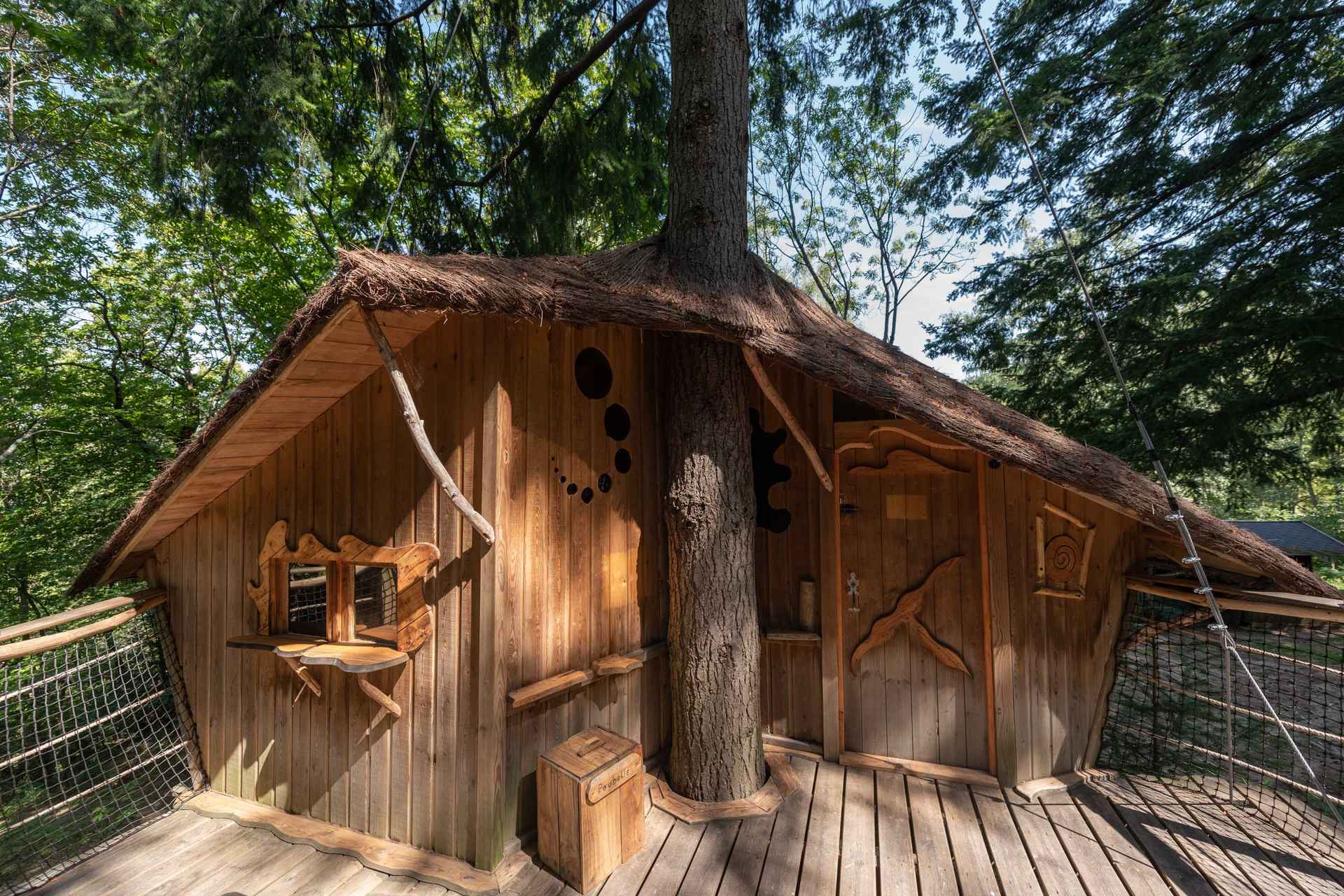 version-internet-44 castor Cabane perchée en bois, intégrée à un arbre, entourée de verdure luxuriante.