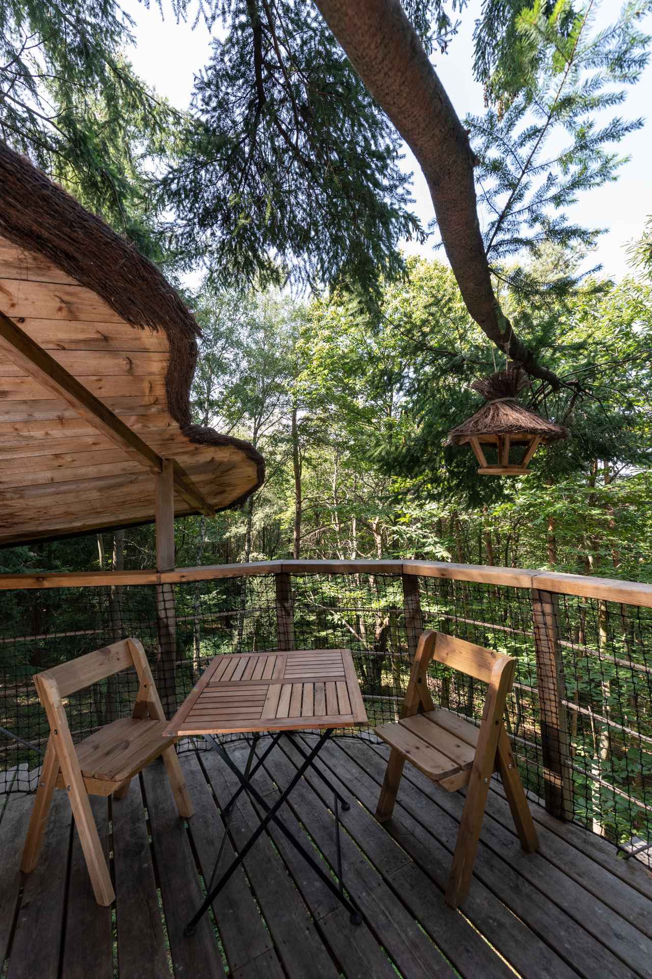 version-internet-49 hibou Cabane perchée en bois avec terrasse, entourée darbres verdoyants en Auvergne.