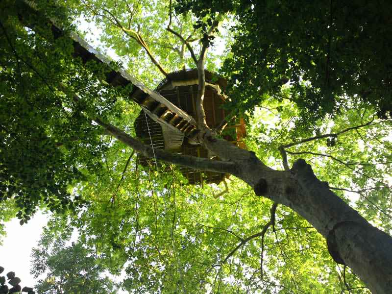 Cabane-nid-d-aigle-pont-de-singe Cabane dans les arbres en Basse-Normandie, perchée au cœur dun feuillage verdoyant.