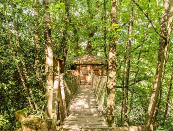 Cabane dans les arbres en Pays de la Loire, accessible par un pont suspendu verdoyant.