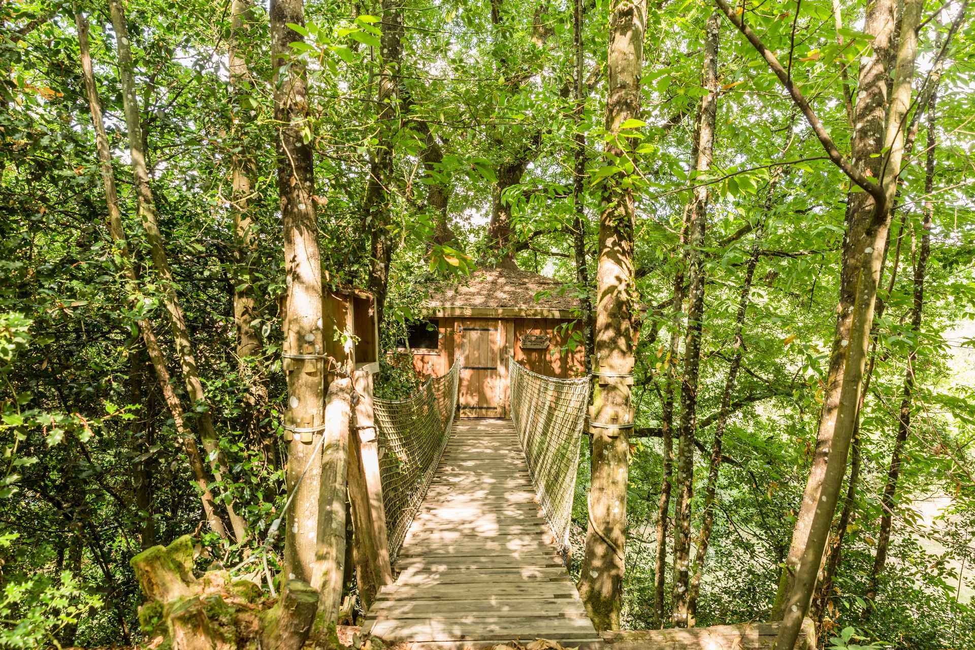 Cabane dans les arbres en Pays de la Loire, accessible par un pont suspendu verdoyant.
