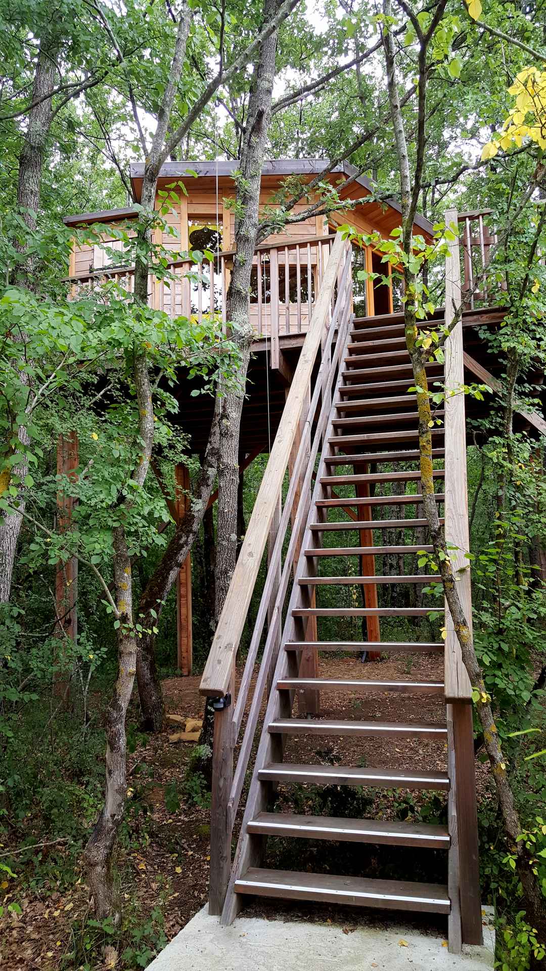 20170816_172217 Cabane perchée dans les arbres, accessible par un escalier en bois, entourée de verdure.