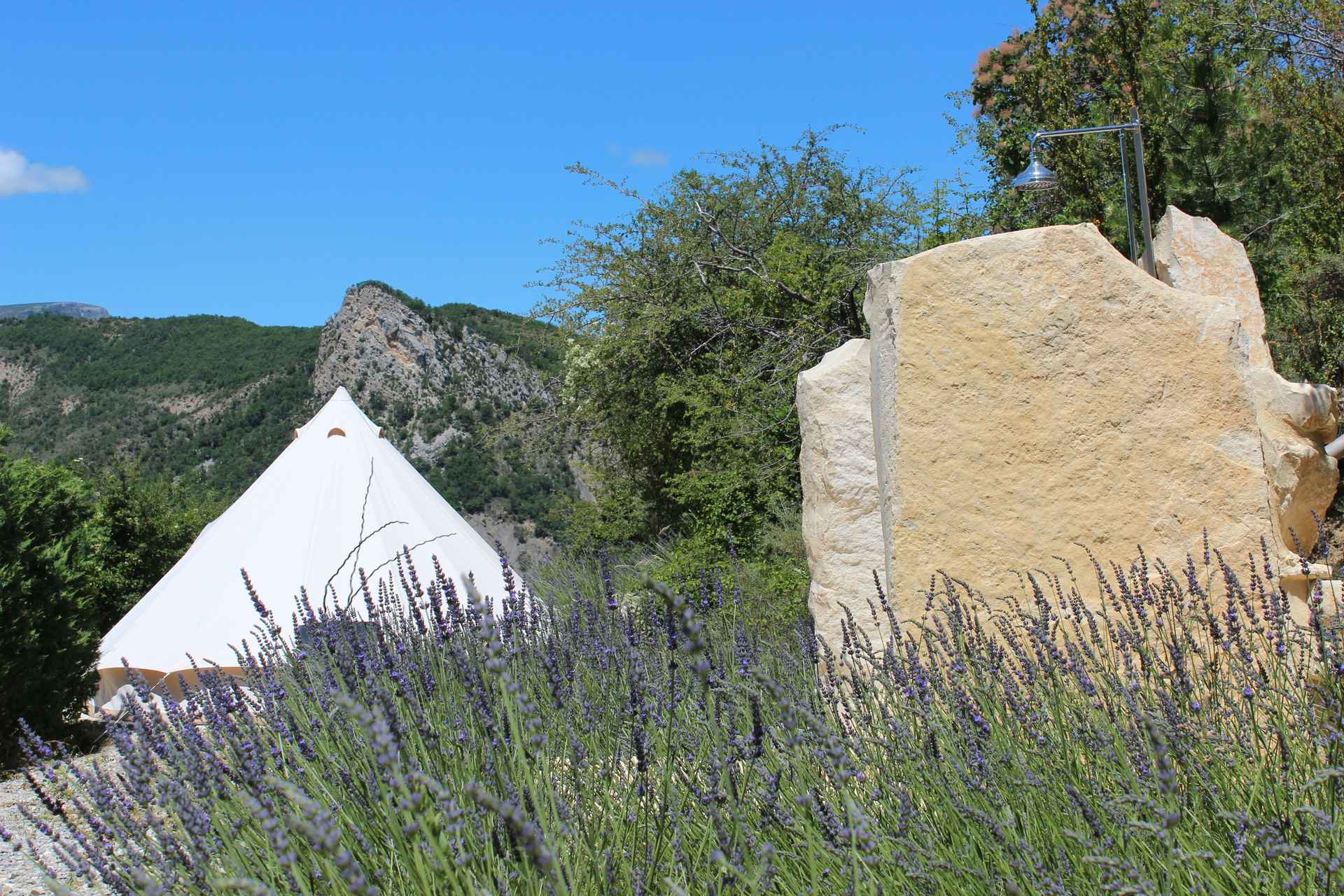 Ferme Fortia - Lodge la clef des champs Tente safari au milieu de champs de lavande, avec montagnes en arrière-plan.
