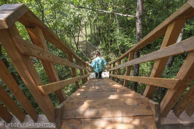 MR6A5740_resultat Cabane perchée en bois, accès par un escalier, entourée de verdure à Midi-Pyrénées.