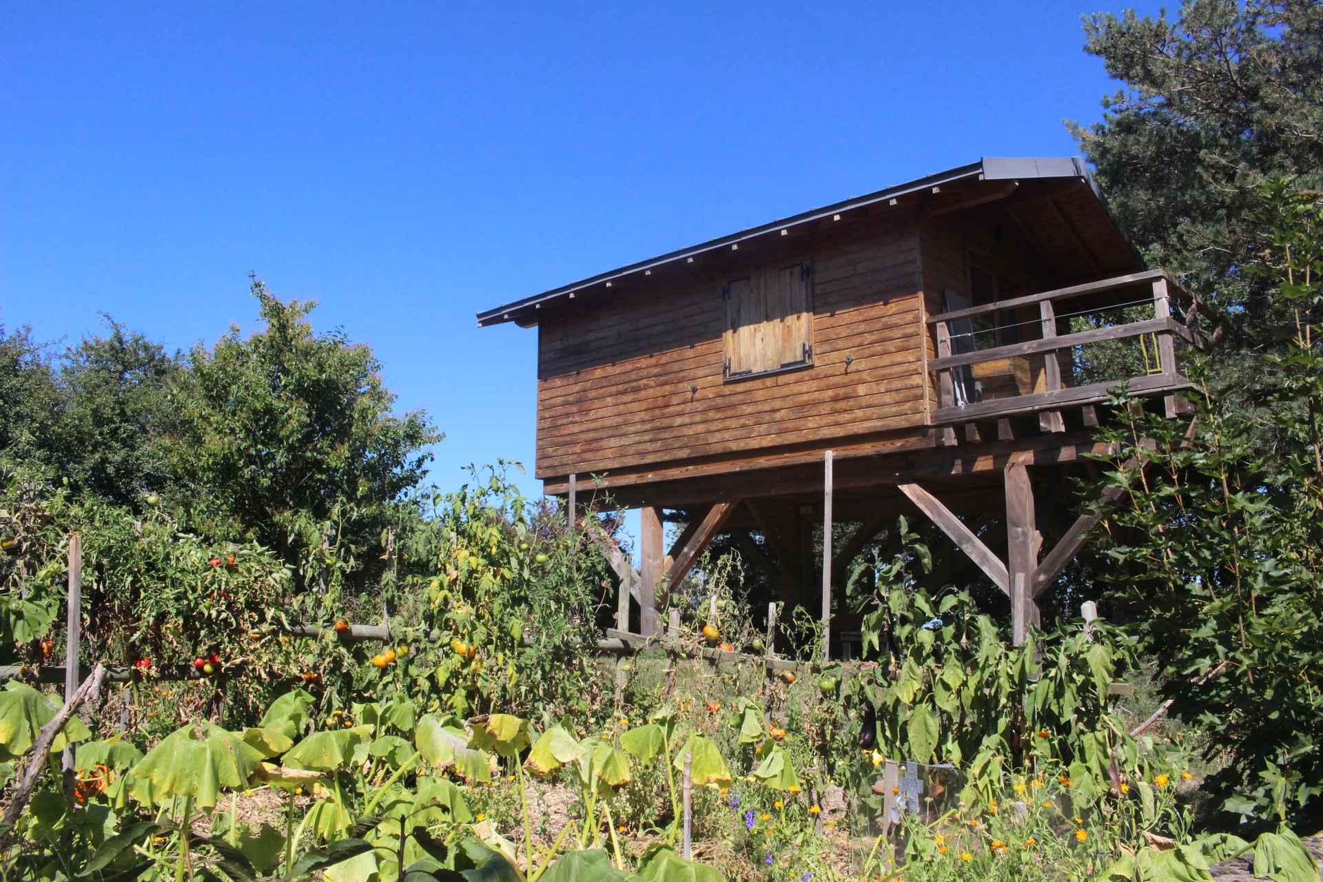 IMG_3833 Cabane perchée en bois, entourée de verdure et de potagers colorés.