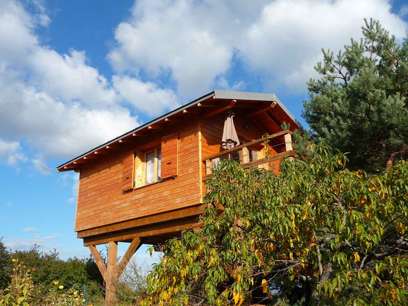 P1150803 Cabane en bois perchée, entourée de verdure sous un ciel bleu parsemé de nuages.
