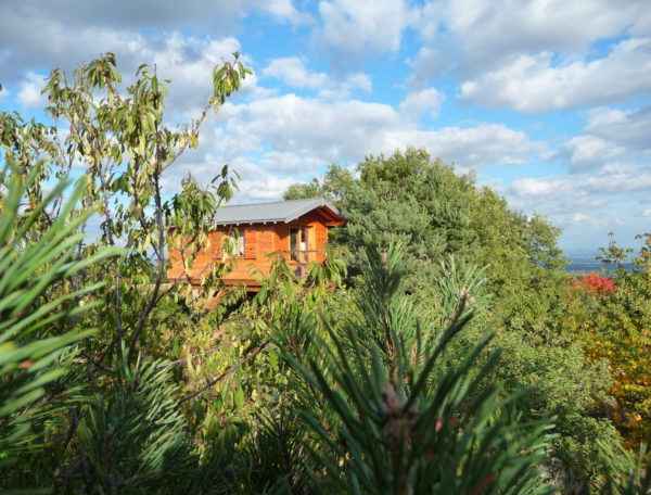 Cabane perchée en bois, entourée darbres verdoyants sous un ciel nuageux.