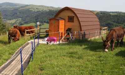 Le “p’tit buron du vacher”