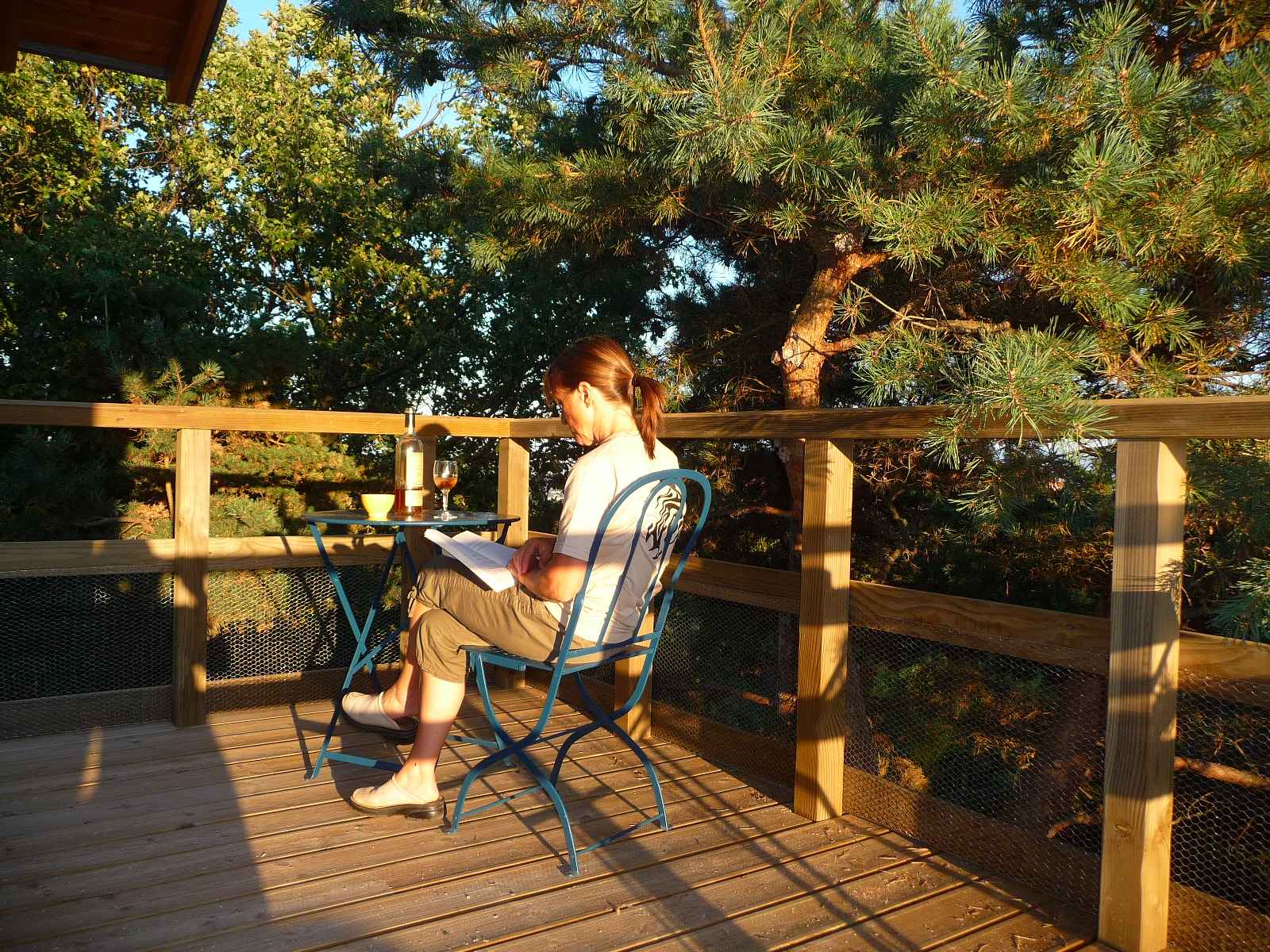 c1130712 (8) Cabane perchée en Auvergne-Rhône-Alpes, avec terrasse en bois et vue sur la nature.