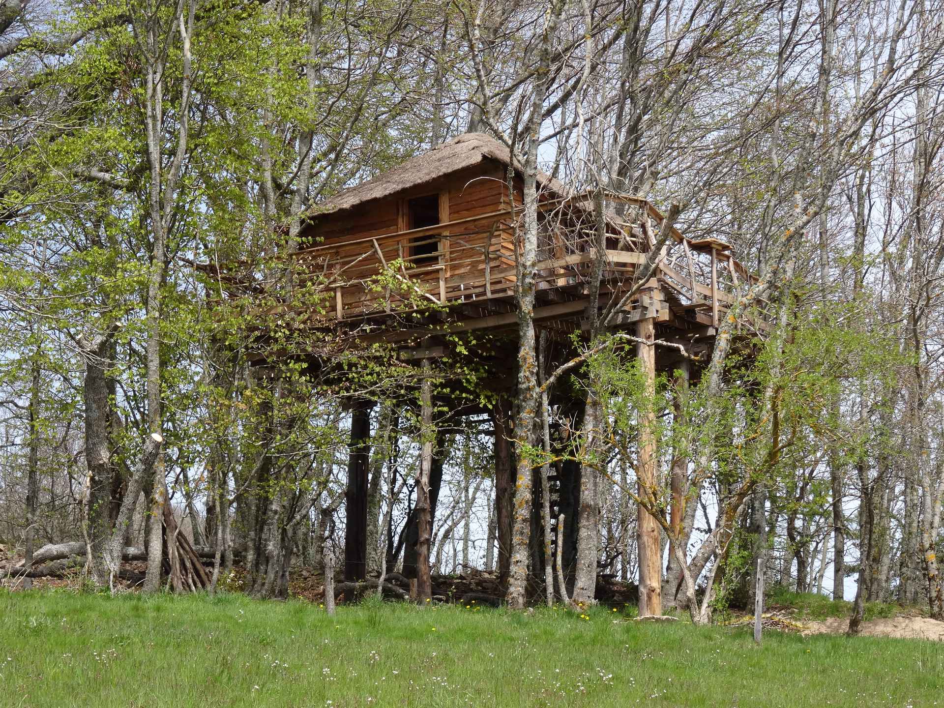 cabane ext Cabane perchée en bois dans les arbres, entourée de verdure en Auvergne-Rhône-Alpes.