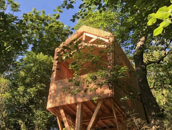 Cabane perchée en bois, entourée darbres verdoyants en Auvergne-Rhône-Alpes.