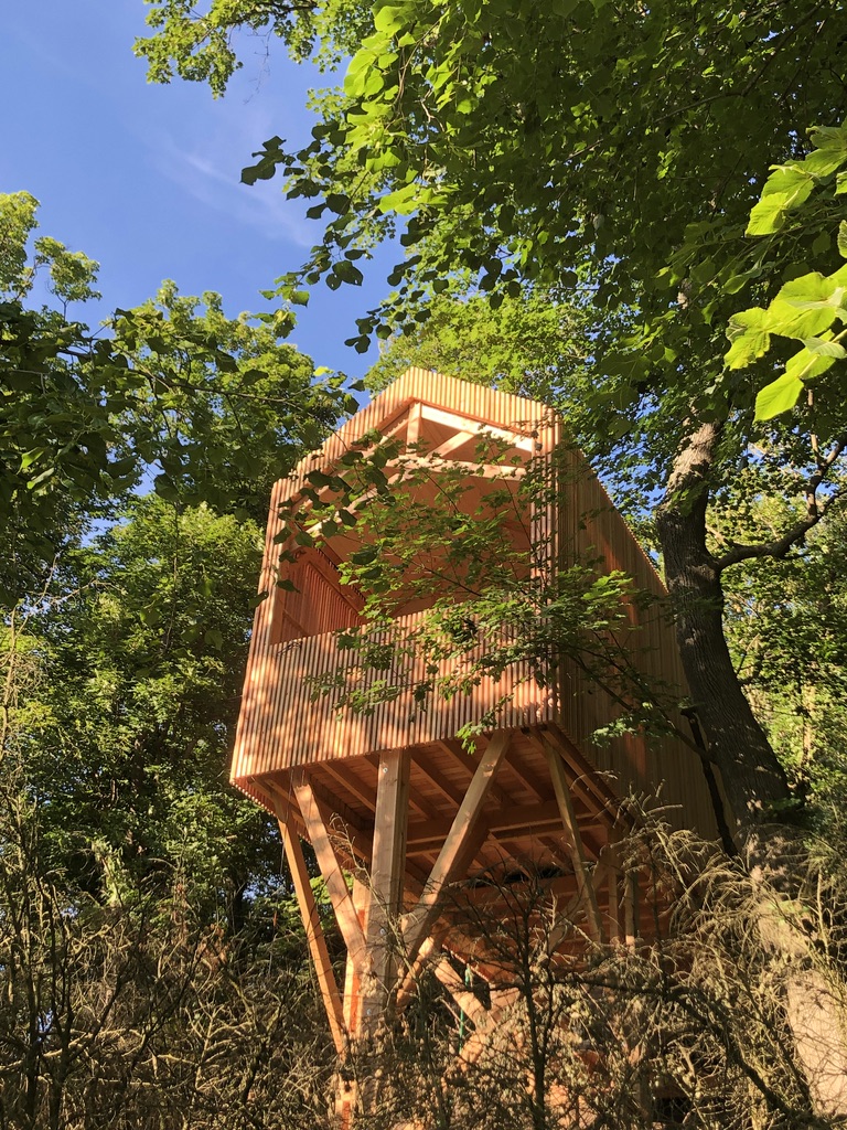 Cabane perchée en bois, entourée darbres verdoyants en Auvergne-Rhône-Alpes.