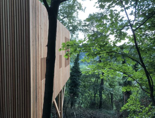 Cabane en bois perchée, entourée darbres verdoyants en Auvergne-Rhône-Alpes.