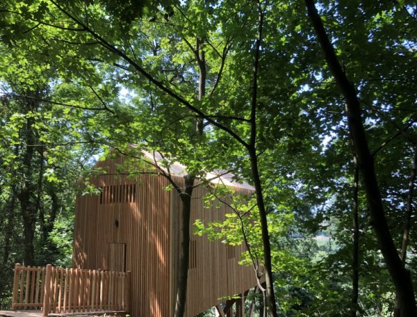 Cabane perchée en bois au cœur des arbres, entourée de verdure luxuriante.