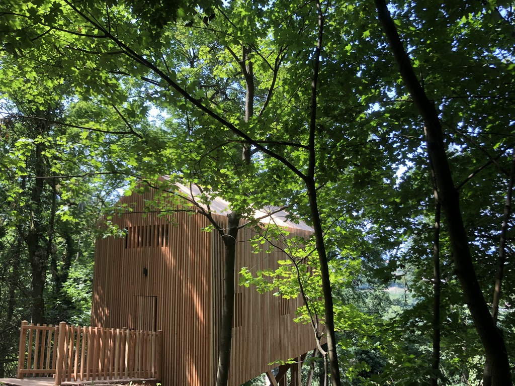 Cabane perchée en bois au cœur des arbres, entourée de verdure luxuriante.