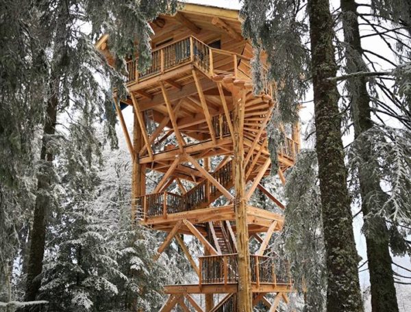 Cabane perchée en bois au cœur des arbres, entourée de neige scintillante.