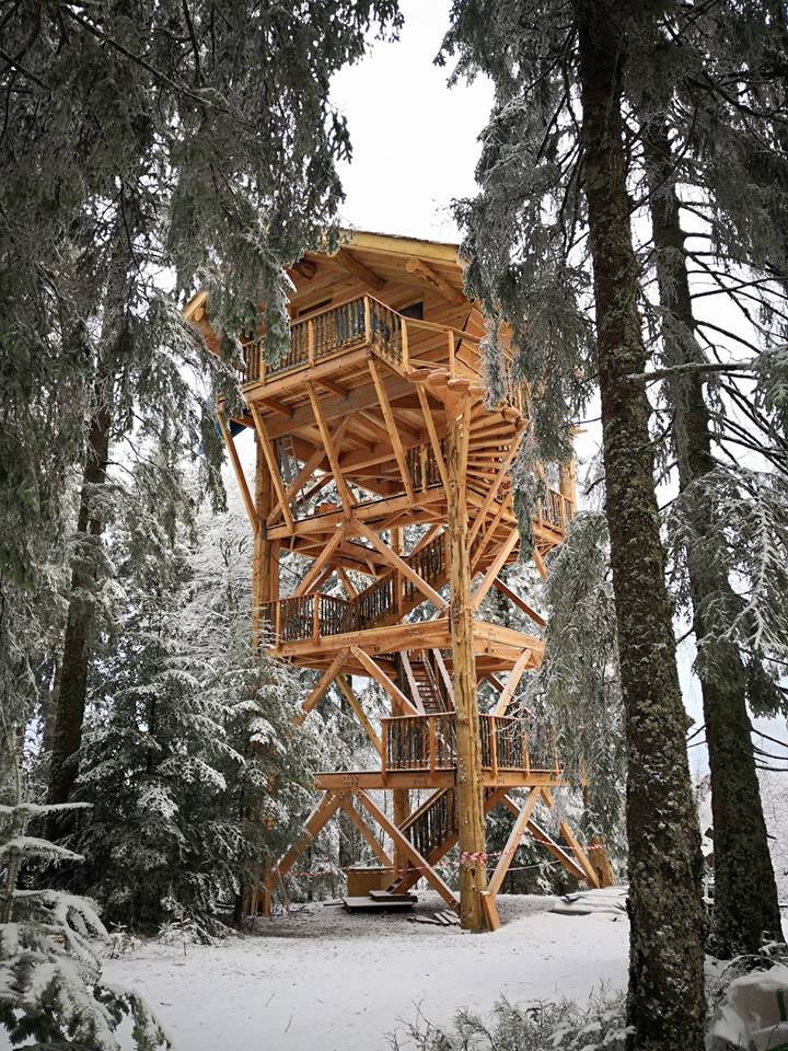 Cabane perchée en bois au cœur des arbres, entourée de neige scintillante.