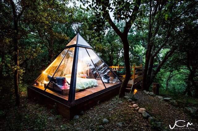 20264535_1633429220009298_9093069388083040650_n