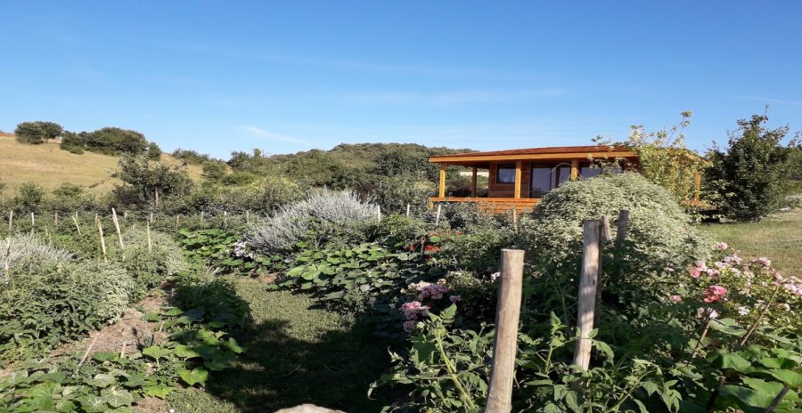 24549-fo-normal___v_112f4583033951c345090bceb6873e7d Cabane en bois au milieu dun jardin fleuri, entourée de collines verdoyantes.