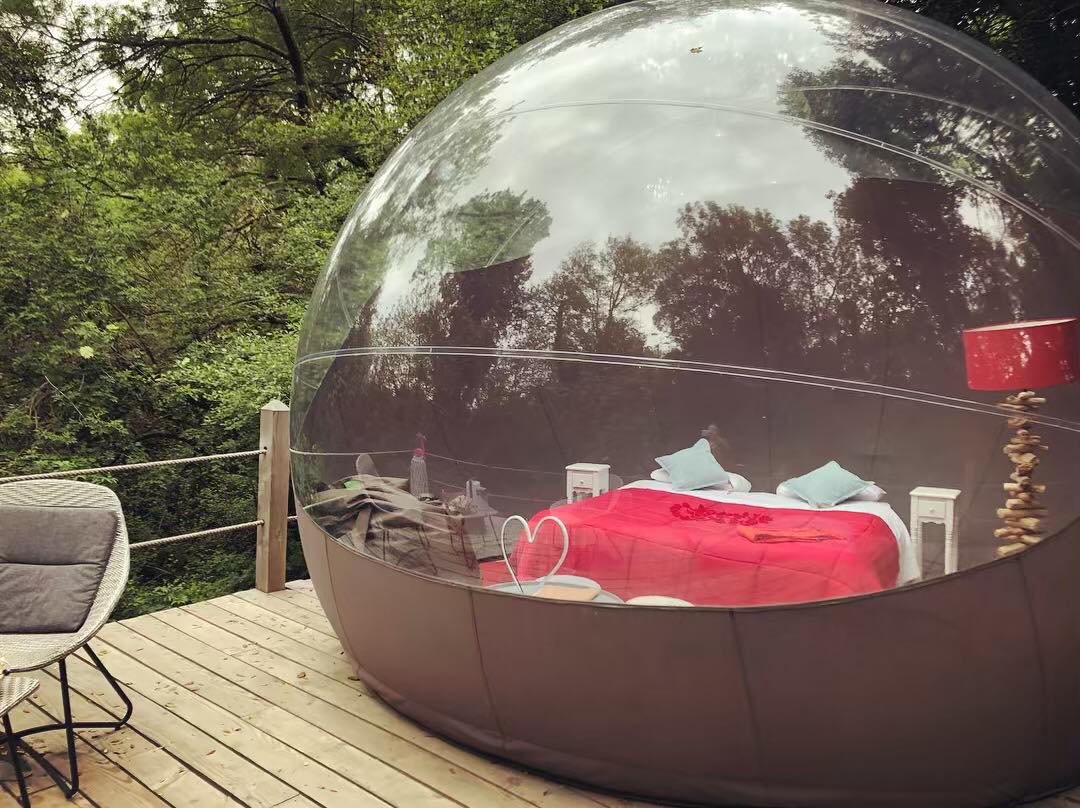 57154708_2629103370437418_3870230322171871232_n