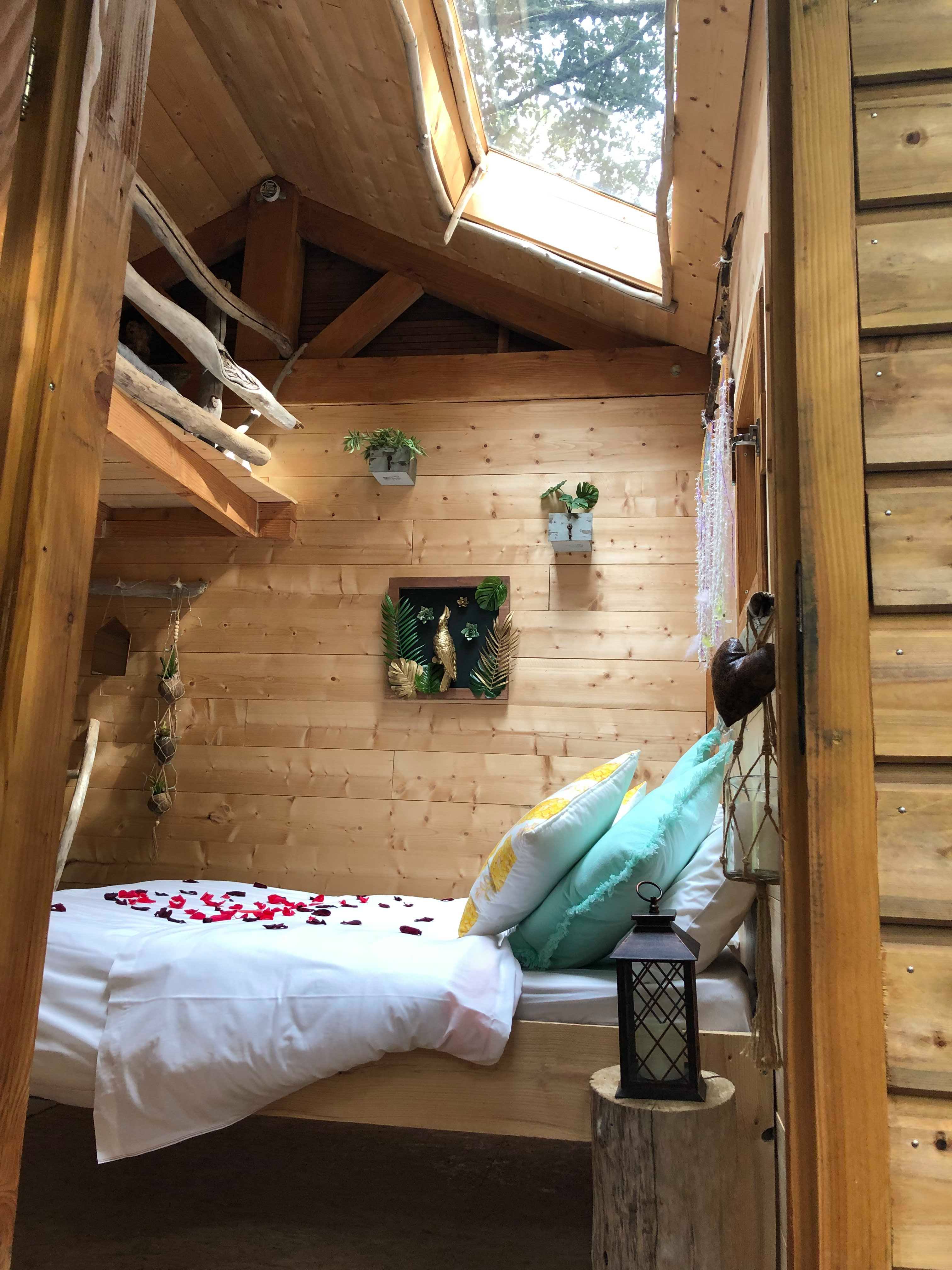 57195256_418991708648302_9223196806484066304_n