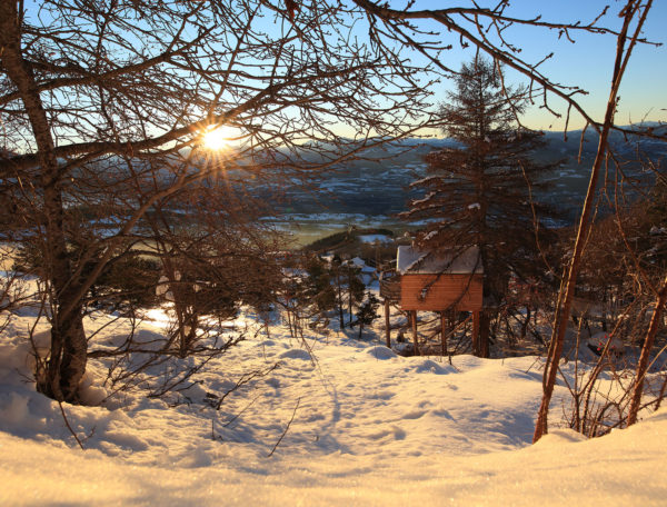 Cabane perchée en bois, entourée de neige et de sapins, avec un lever de soleil éclatant.